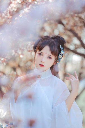 成 人黄 网 站 免费 在 线