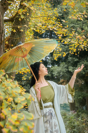 少年包青天1部40集免费