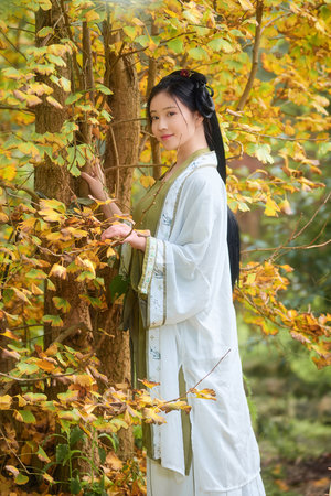 狂飙免费完整在线观看