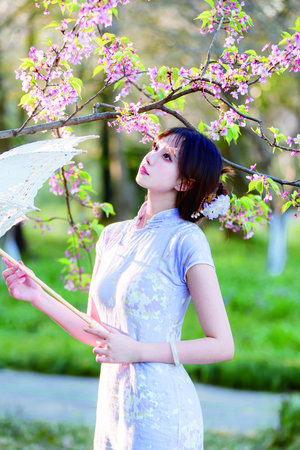 台湾电影花楼满春