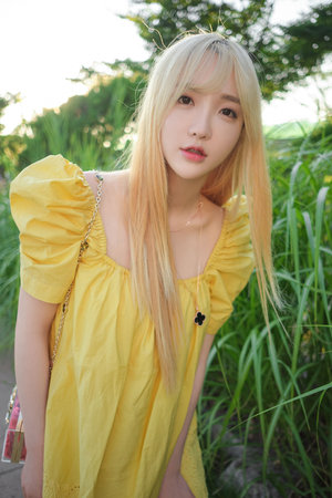 神雕侠侣2014陈晓版