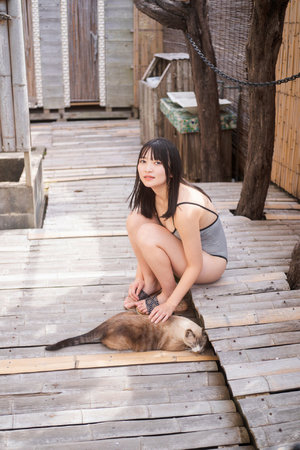 a级在线观看免费