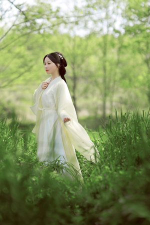 纪湘天神下凡战四郎