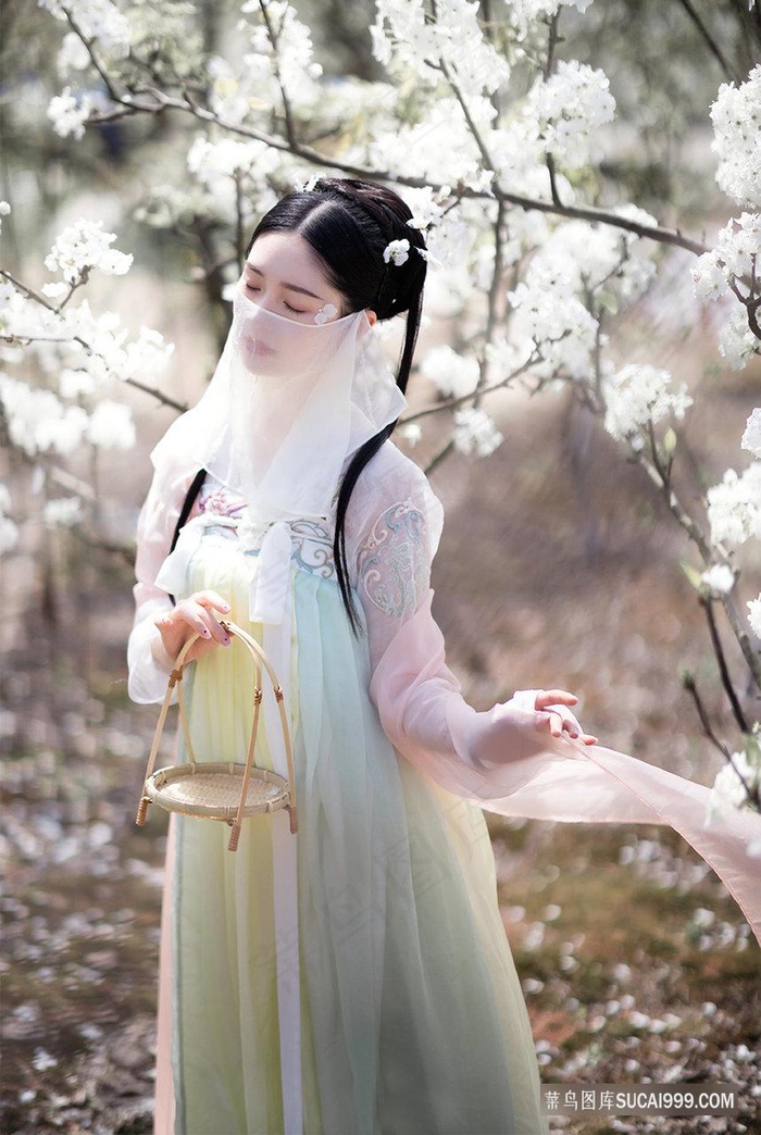 菊内留香 TXL金银花露