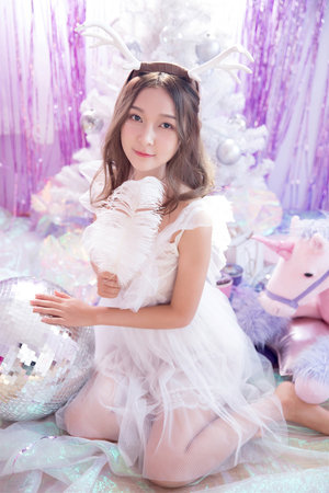 一条狗的使命百度网盘