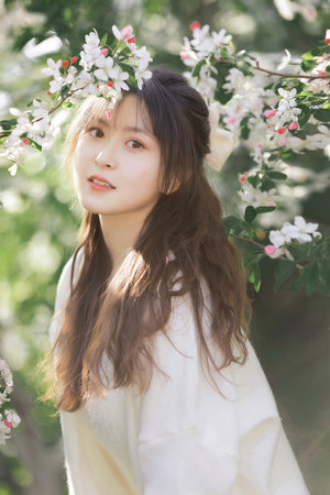 三国演义动漫版