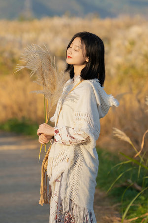 法国空姐2在线观看