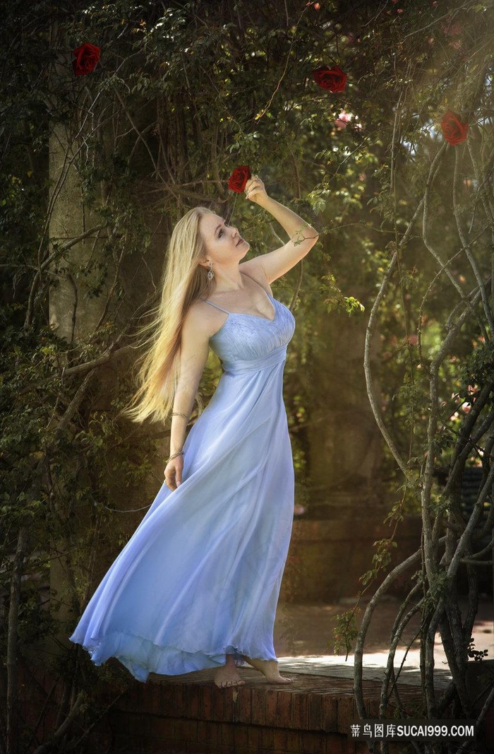 菠萝蜜免费观看电视剧大全