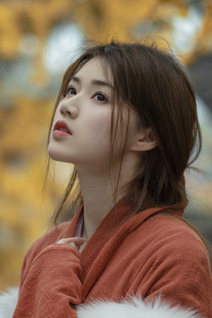 电视剧照亮你免费看