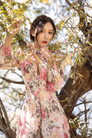 夏星辰司蔺小说免费阅读