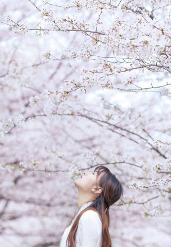 孝庄秘史电视剧全集剧情