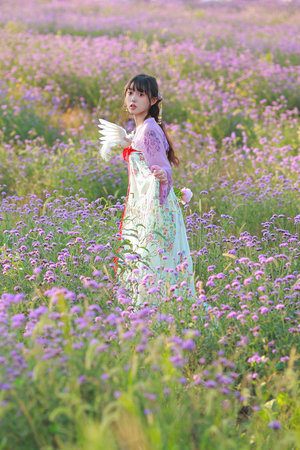 蜘蛛侠动画片中文版