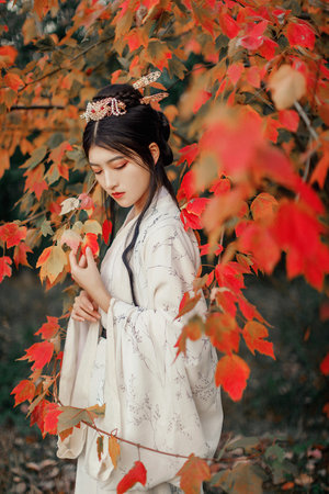 可惜不是你电视剧免费观看超清