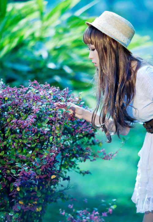 大闹广昌隆电视剧国语版