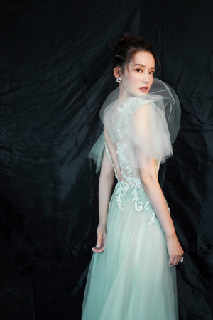 李丽珍电影免费观看在线