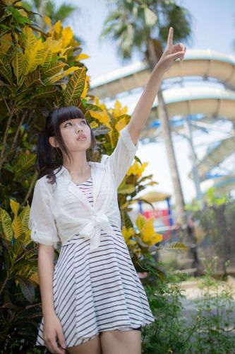 绿椅子在线播放