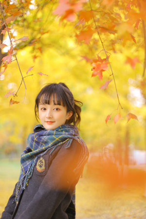 法老与众神在线观看完整免费