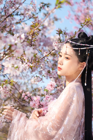 天才在左疯子在右txt下载