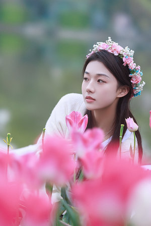 无颜之月全集在线观看电视剧