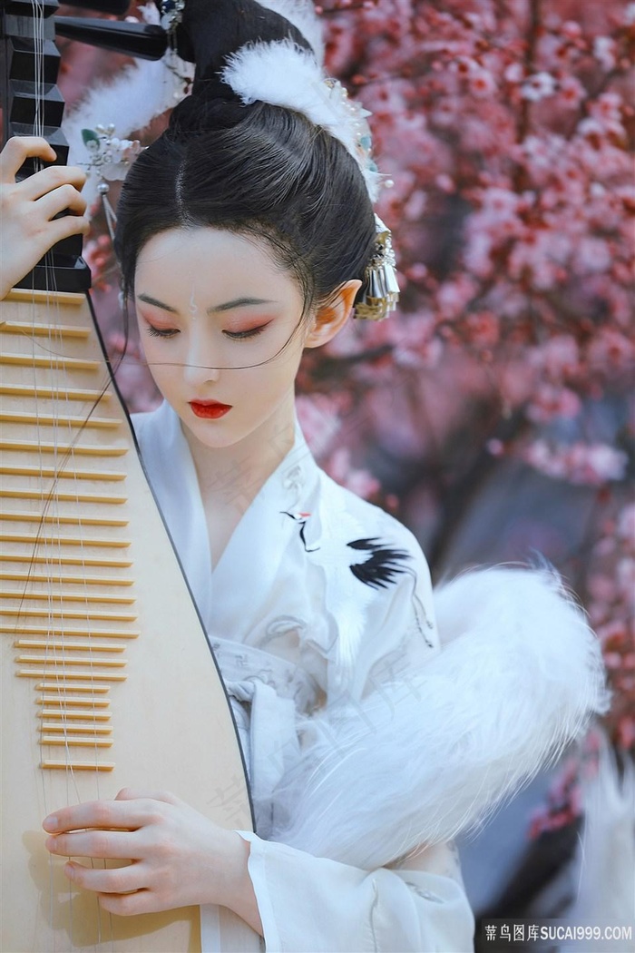 在线观看国产xo激情视频下载