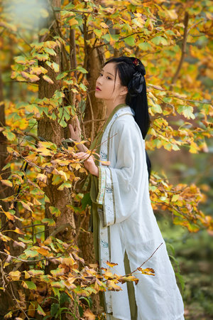 国产成人欧美日韩在线电影