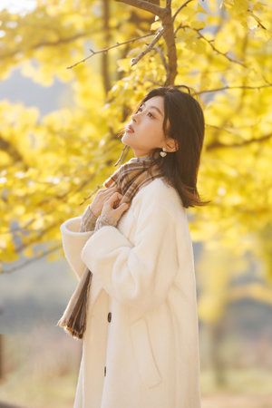 肉体奉公小早川怜子电影