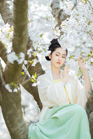 轩辕剑的演员表