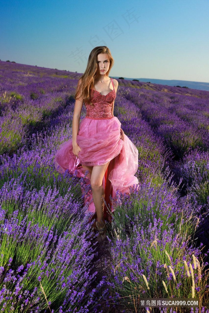 欧美洲久久久久高清