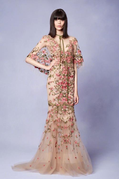 又有美国议员乘军机窜台