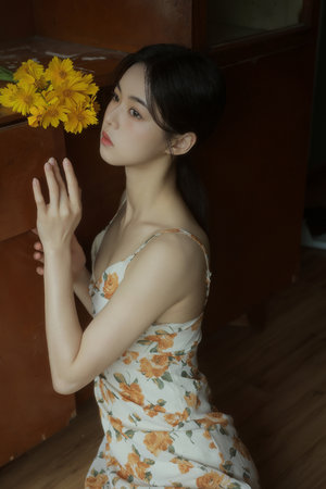 九五之尊电视剧