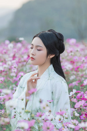 wwe视频在线观看