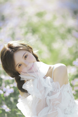 主角许馨小说免费阅读