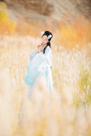 奥维尔号第二季在线播放