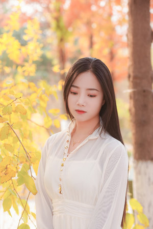 菊豆高清观看免费