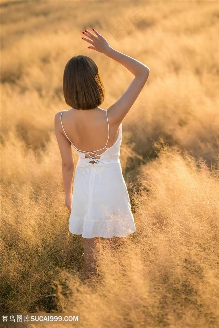 秋霞网八妻子8在线观看