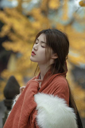 女机械三觉视频