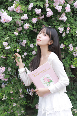 欲望格斗2中文版