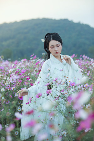 最近观看的视频