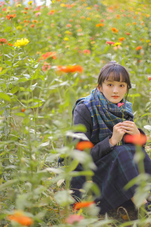 国产入口在线观看