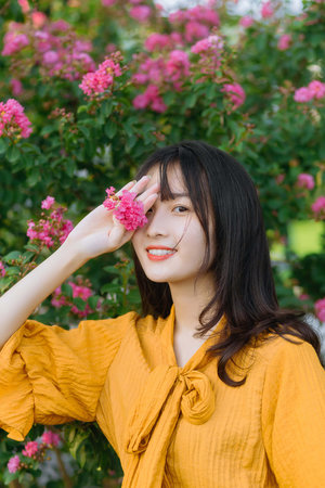 游戏风云弹弹堂