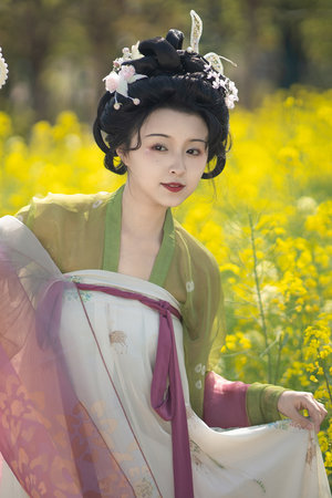 日本中文字幕免费观看